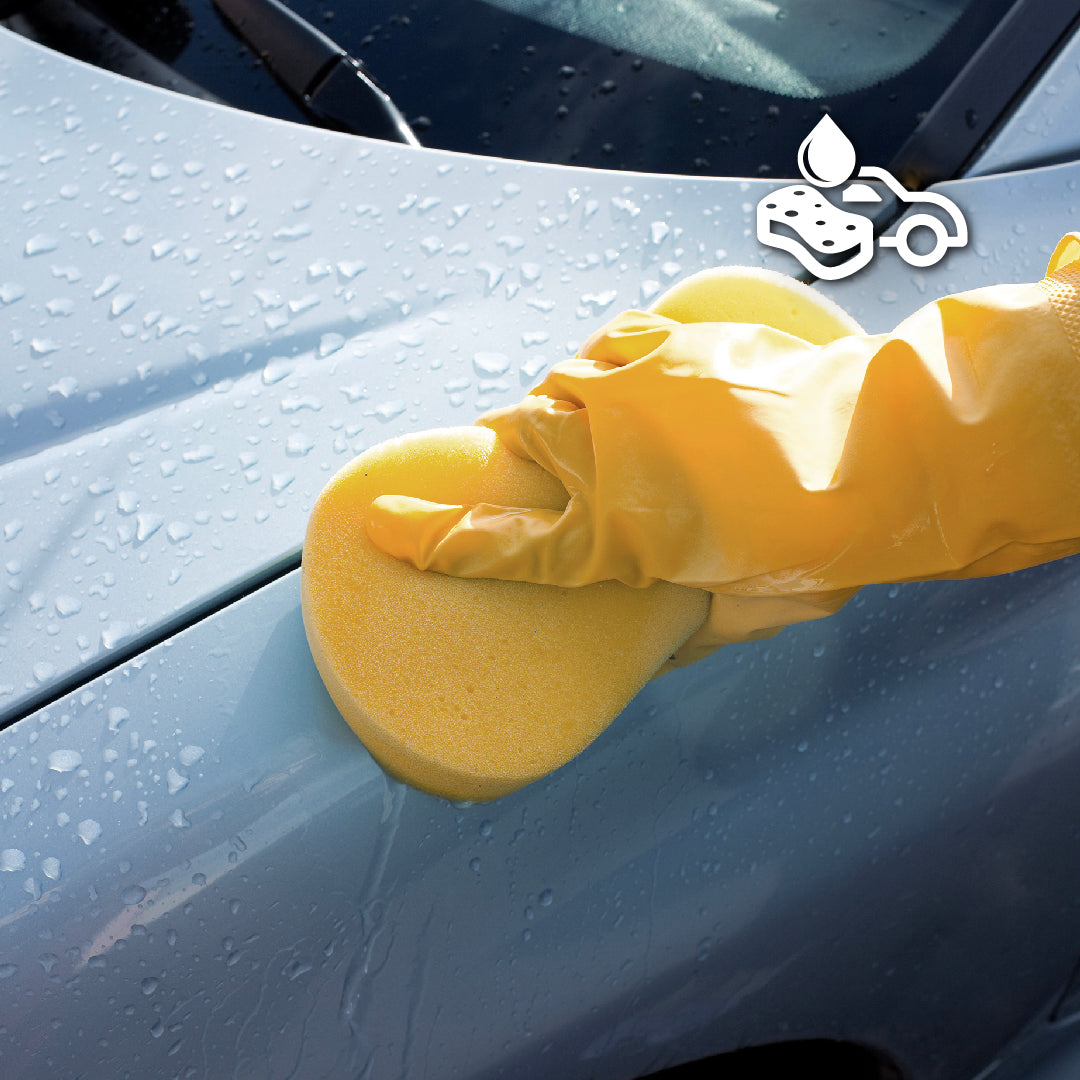 Professional car wash and vacuuming