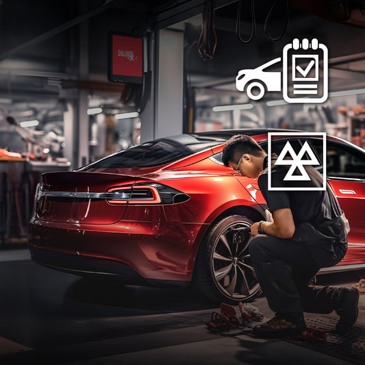 TESLA Exclusive Government Vehicle Inspection Package